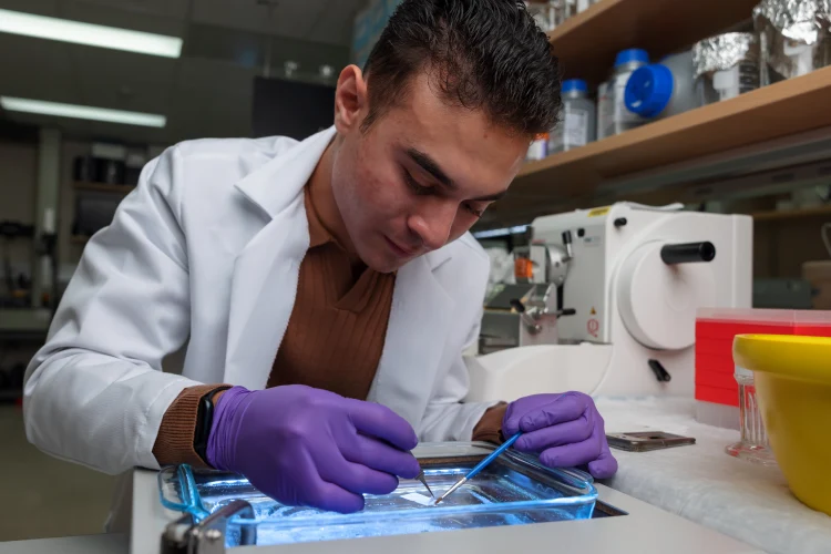 A student wearing a lab coat and gloves reaches over a glass container lit from below, positioning an item in a tray. Behind the student is lab equipment and shelves of containers.