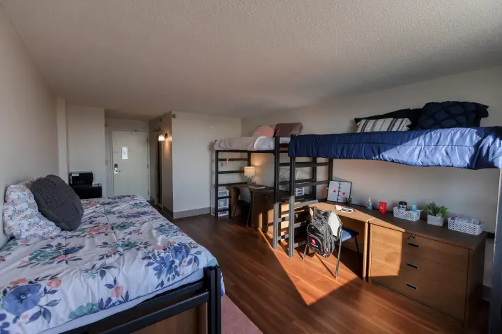Bright, modern IU Indianapolis dorm room with lofted bed and wood floors 