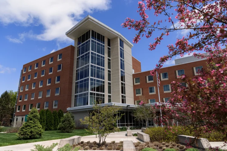 Landscaping and a blooming tree are seen outside of North Hall.